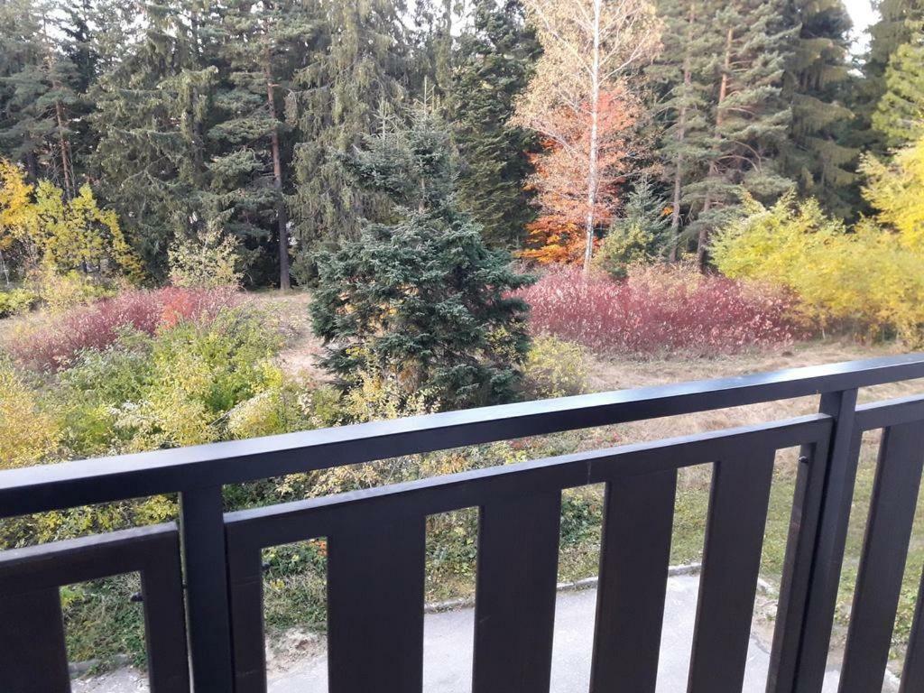 波罗维茨Borovest Garden.公寓 外观 照片